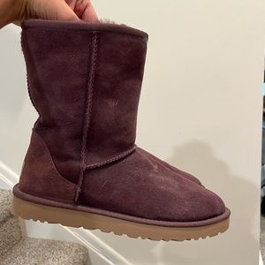 Classic Short II Ugg Boot in Plum (Discontinued!)